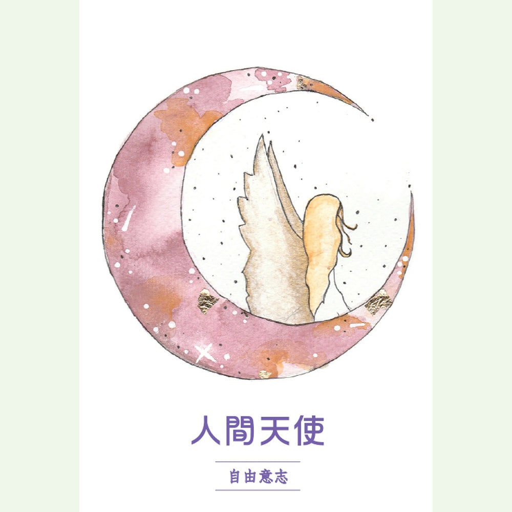 人生使命神諭卡繁體中文版:精準預測關鍵日期,指引你的天賦才能,找出契合你靈魂的工作與事業