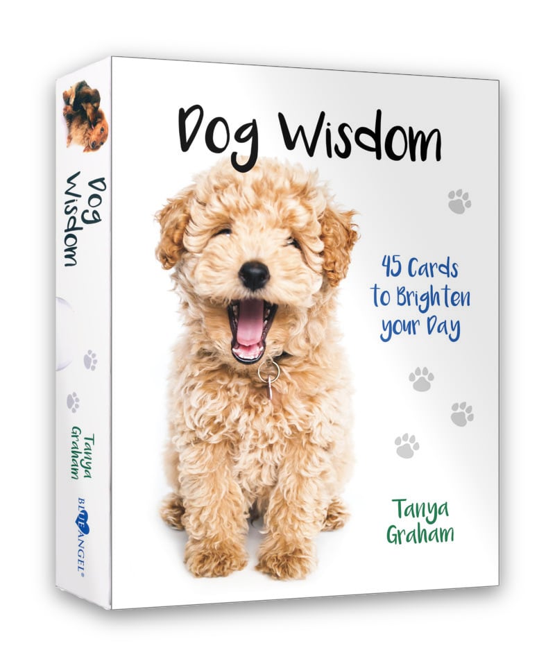 狗狗智慧卡|Dog Wisdom Cards|45張,透過我們的好朋友獲得啟發性見解
