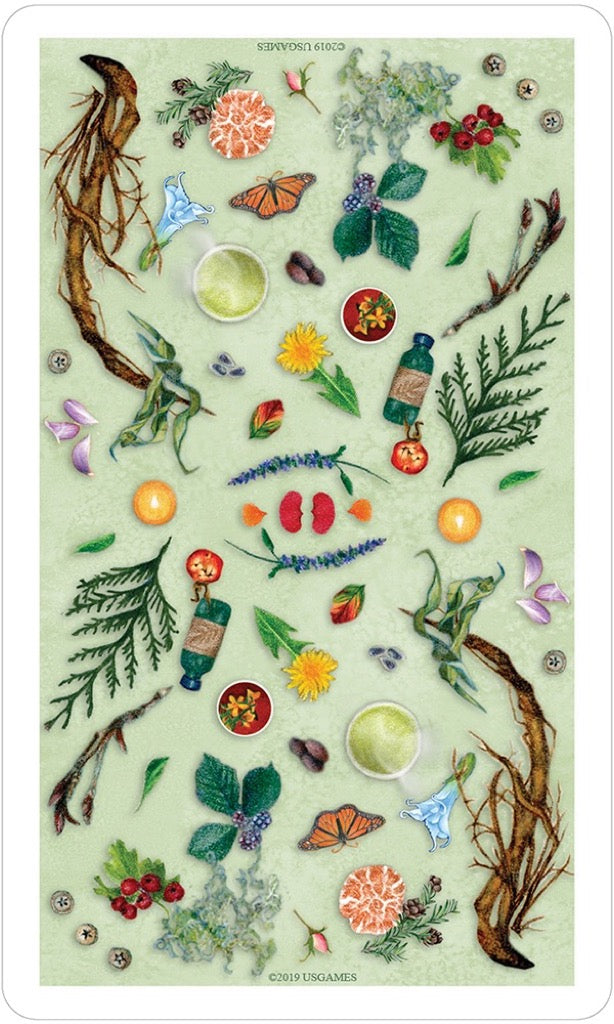 藥草師塔羅|The Herbcrafters Tarot|78張,探索植物界的原型與伙伴關係