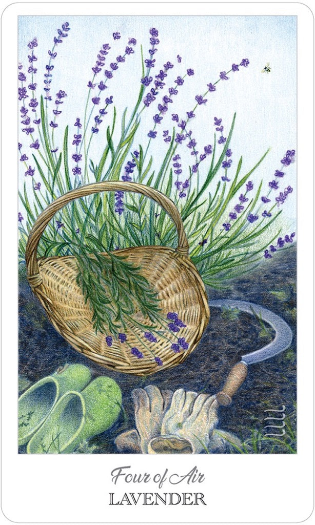 藥草師塔羅|The Herbcrafters Tarot|78張,探索植物界的原型與伙伴關係