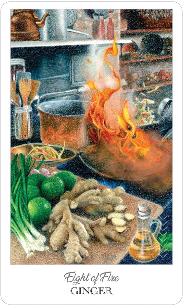 藥草師塔羅|The Herbcrafters Tarot|78張,探索植物界的原型與伙伴關係