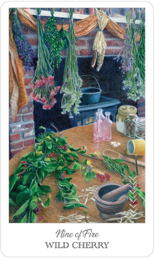 藥草師塔羅|The Herbcrafters Tarot|78張,探索植物界的原型與伙伴關係