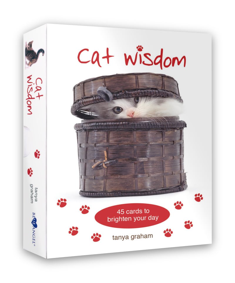 貓咪智慧卡｜Cat Wisdom｜45張,從不同的角度去看待事物並放輕鬆、懂得玩樂