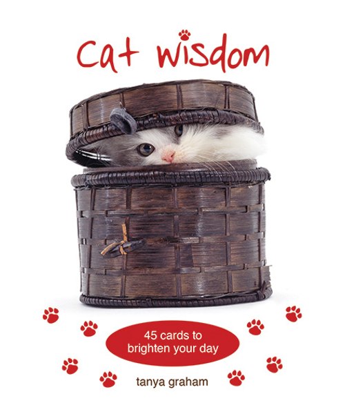 貓咪智慧卡｜Cat Wisdom｜45張,從不同的角度去看待事物並放輕鬆、懂得玩樂