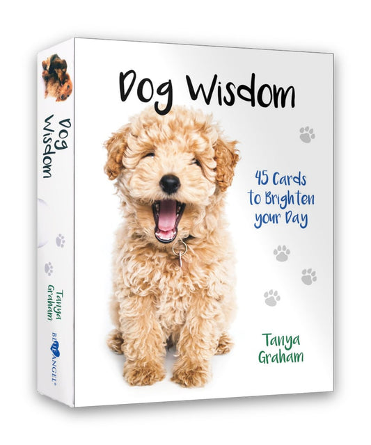 狗狗智慧卡｜Dog Wisdom Cards｜45張,透過我們的好朋友獲得啟發性見解