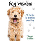 狗狗智慧卡｜Dog Wisdom Cards｜45張,透過我們的好朋友獲得啟發性見解