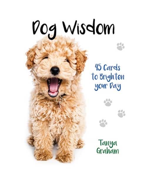 狗狗智慧卡｜Dog Wisdom Cards｜45張,透過我們的好朋友獲得啟發性見解