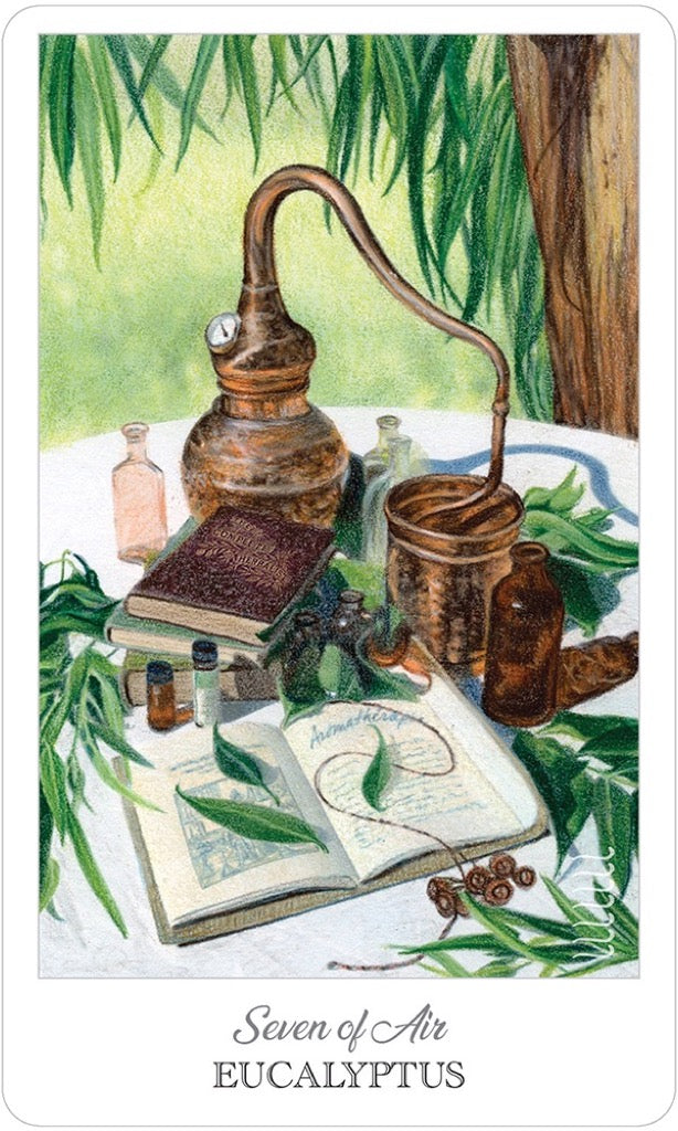 藥草師塔羅｜The Herbcrafters Tarot｜78張,探索植物界的原型與伙伴關係